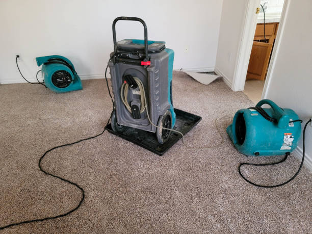 Reliable Louisiana, MO Water damage restoration Solutions