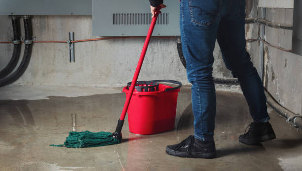 Best Basement water damage restoration  in Louisiana, MO