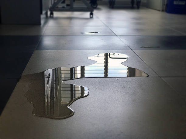 Best 24/7 water damage repair  in Louisiana, MO