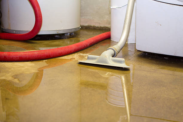 Best Mold removal after water damage  in Louisiana, MO