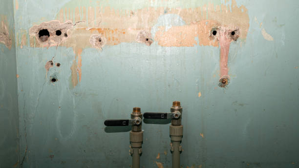 Best Water damage cleanup near me  in Louisiana, MO