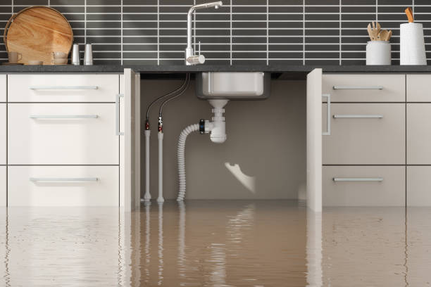 Best Sewage cleanup and water damage restoration  in Louisiana, MO