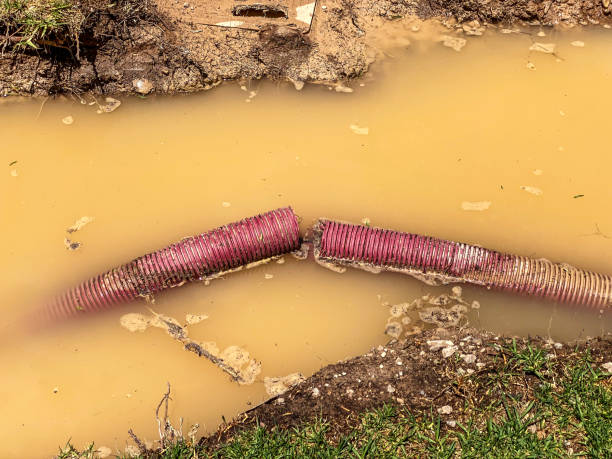 Best Flood damage cleanup  in Louisiana, MO