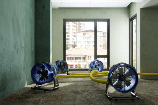 Fire Damage Restoration in Louisiana, MO