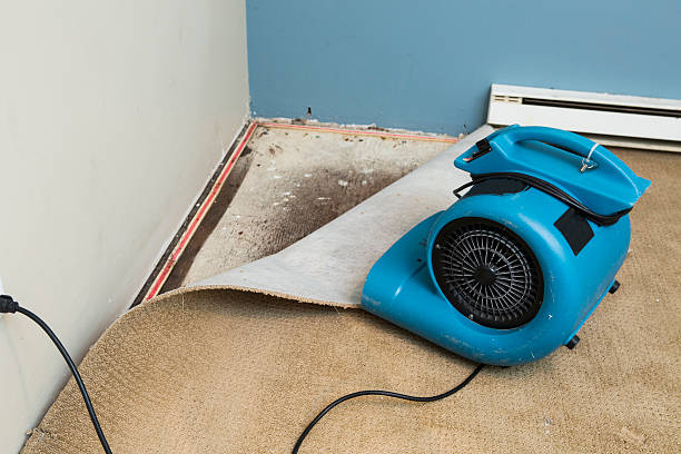 Best Water damage restoration specialists  in Louisiana, MO